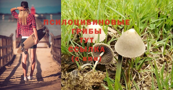 марки nbome Протвино