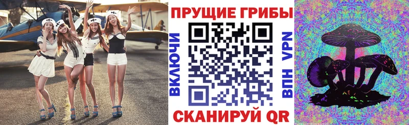 площадка наркотические препараты  где купить наркотик  Серафимович  Псилоцибиновые грибы Magic Shrooms  кракен маркетплейс 